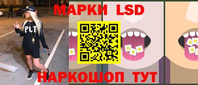 тгк Обь
