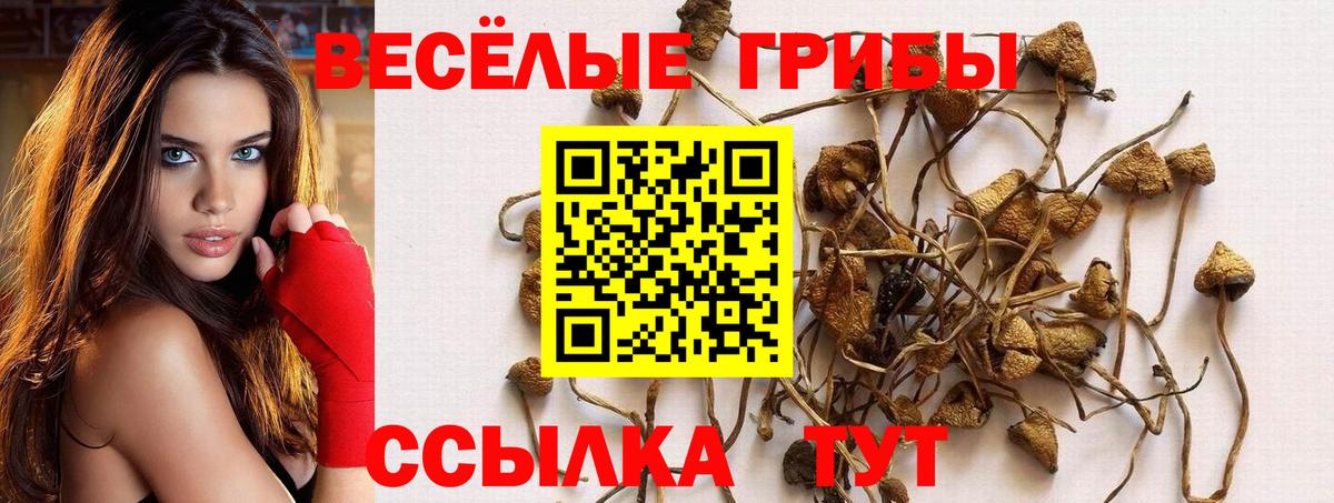 Галлюциногенные грибы Magic Shrooms Соликамск