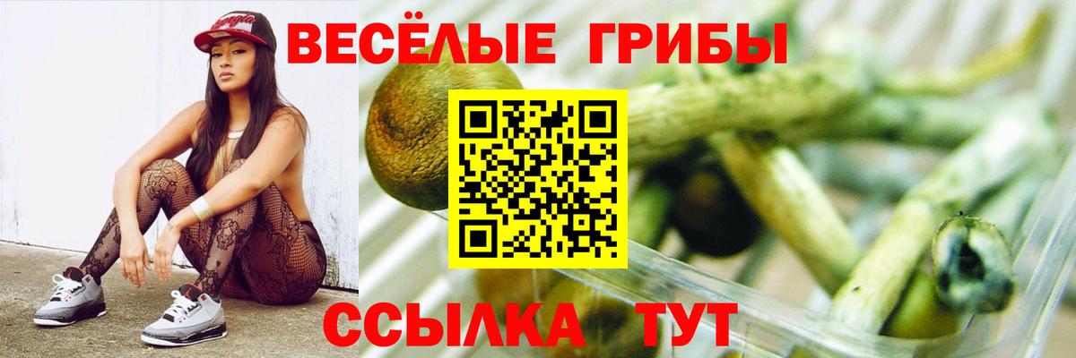 Соликамск  Псилоцибиновые грибы Psilocybine cubensis  Вход с VPN  Псилоцибиновые грибы MAGIC MUSHROOMS 
