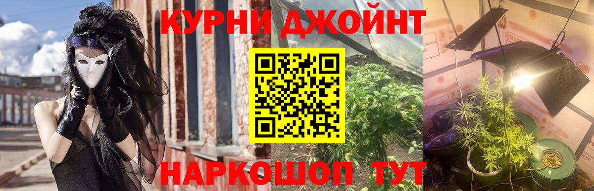 Канабис план Соликамск